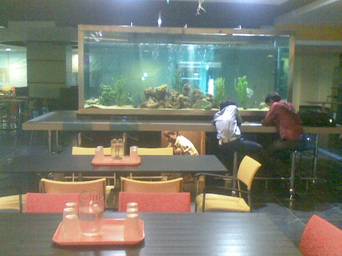 Aquarium-93